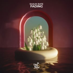 SHAUN BATE - FADING
